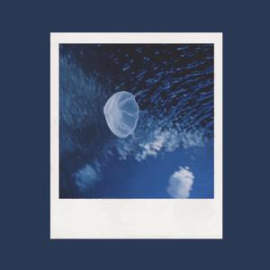 砂狼白子被❌高潮视频
